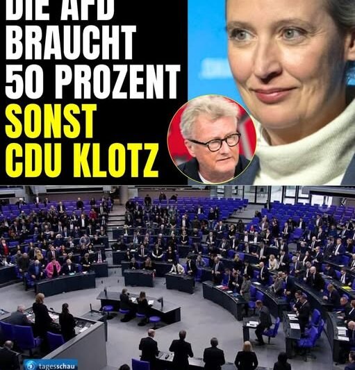 Plötzlich gibt Gast der AFD RÜCKENDECKUNG! – ,,Mit der CDU wirds in 100 Jahren NIX!”