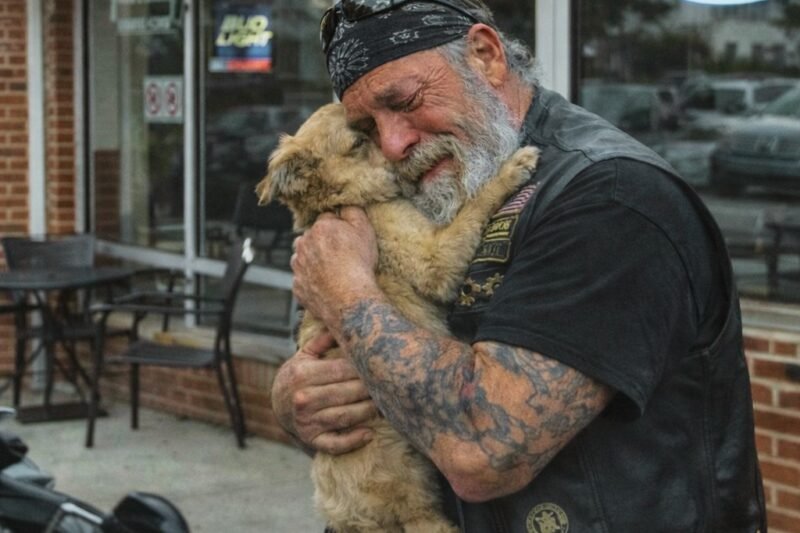 Der Biker und der Hund: Eine Geschichte von Verlust und Heilung
