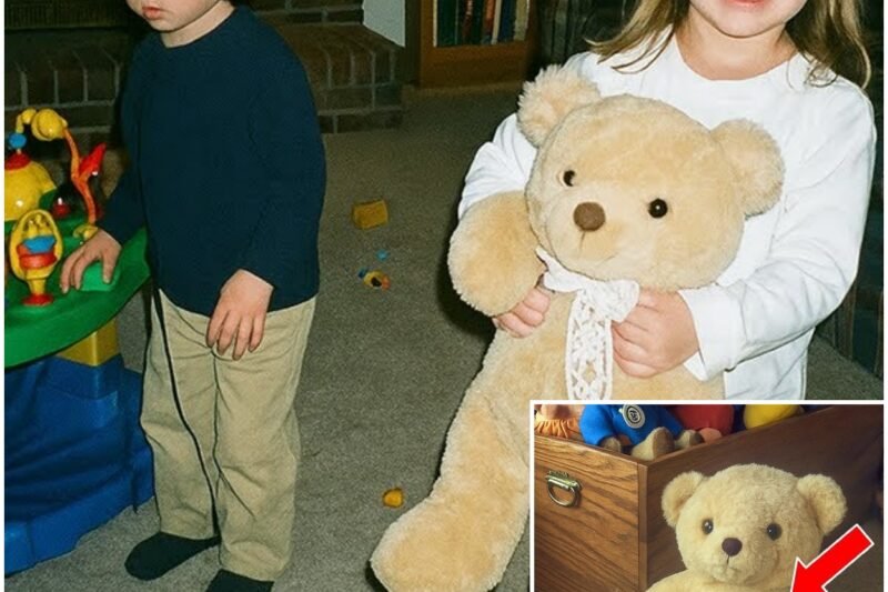Mädchen verschwand 1998 aus ihrem Wohnzimmer — 16 Jahre später schneidet ihr Bruder ihren Teddybären auf…