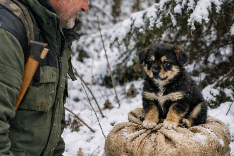 Die Geschichte geht weiter