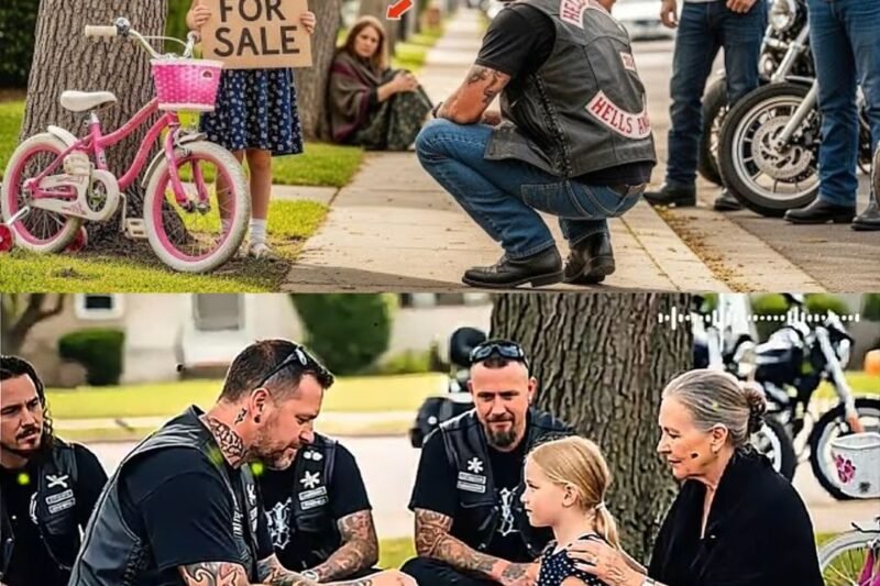 „Kaufen Sie mein Fahrrad, Sir… Mama hat seit zwei Tagen nichts gegessen“ — Die Biker erfahren, wer ihr alles genommen hat und was das Schicksal dieser kleinen Seele wirklich verbarg!