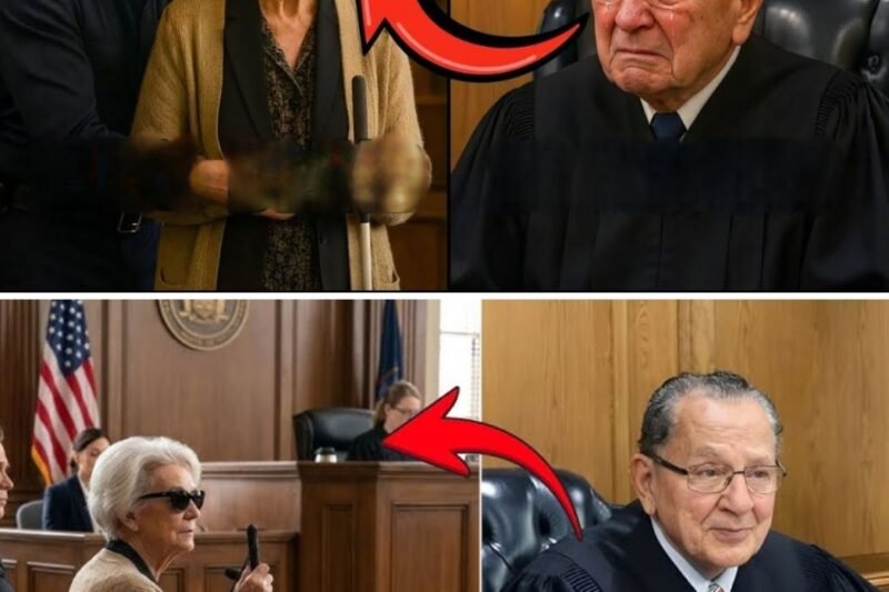 Eine 86-jährige blinde Frau schuldet 14.200 Dollar an Bußgeldern… bis Richter Caprio eine Frage stellt