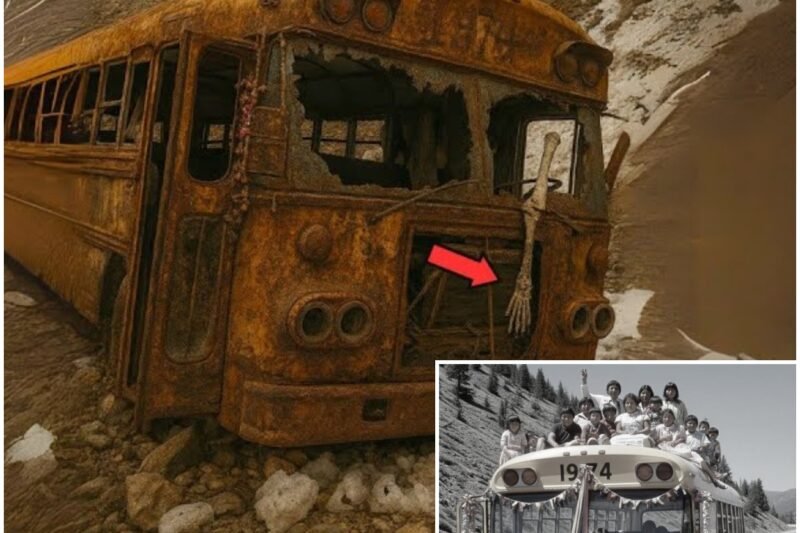 Ein ganzer Bus der einheimischen Hochzeitsgesellschaft verschwand 1974 – 28 Jahre später fanden Wanderer dies in einem Revine…