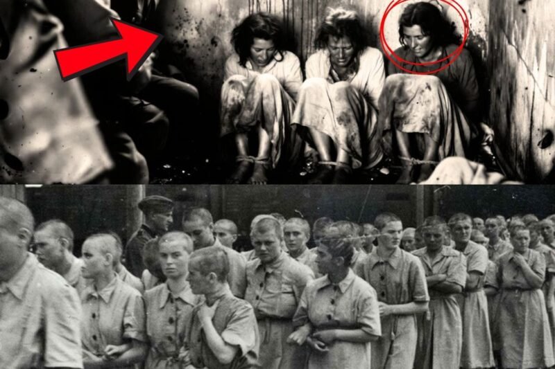 71 Tage in den Händen deutscher Soldaten. Und die grausame Wahrheit, die sie zu vertuschen suchten…