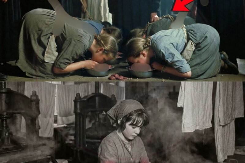 Was die Nonnen 30.000 Frauen in den Wäschereien der Magdaleneninseln in Irland angetan haben