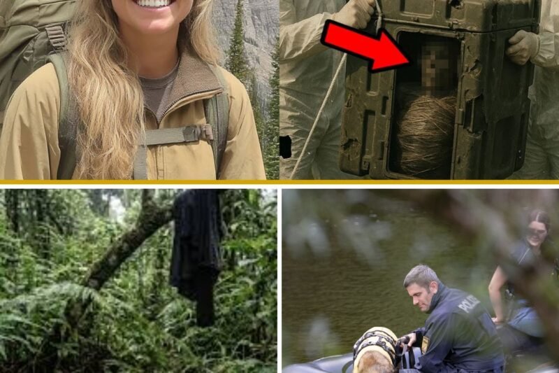 Touristin Verschwand in Ardennen — 3 Jahre Später Leiche in Plastikbox mit Folie Gefunden…