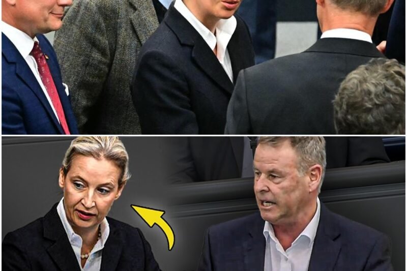 Der große Steuer-Verrat: Wie die AfD die arbeitende Bevölkerung verhöhnt und den Superreichen Milliarden schenken will.