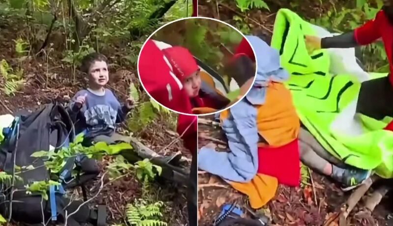 Der fünfjährige Alex wurde am Waldrand im rumänischen Siebenbürgen vermisst und überlebte fast drei Tage in einem Gebiet, in dem sowohl Bären als auch Wildschweine umherstreifen.