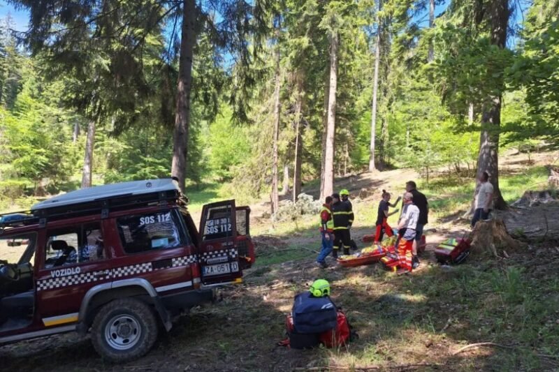 Neben Bergrettern wurden auch Besatzungen der Luftrettung und der Feuerwehr Žilina zum Unfallort geschickt, die den Arzt der Rettungswagenbesatzung zum Unfallort transportierten.