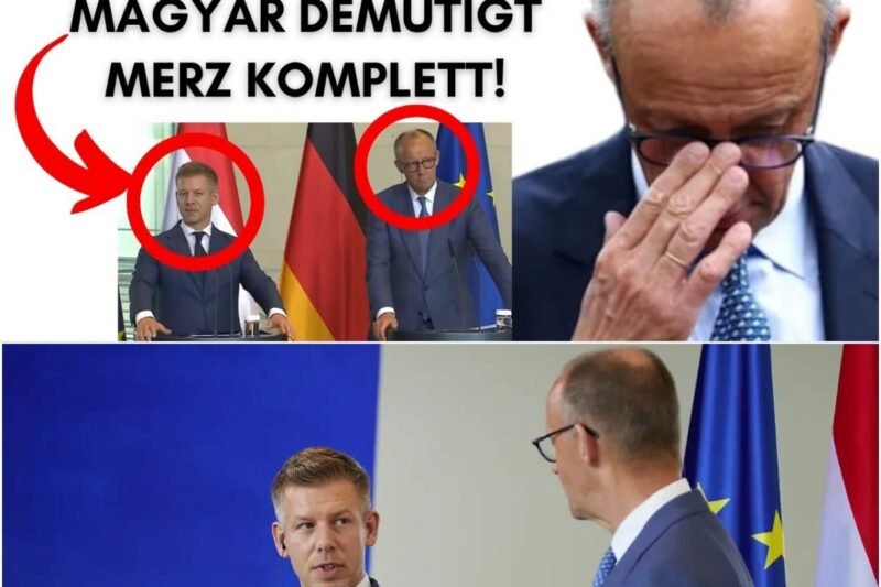 DIE GEBROCHENE SOUVERÄNITÄT: BERLINS DIPLOMATISCHES DESASTER UND DER BRÖCKELNDE SCHUTZSCHILD. t1