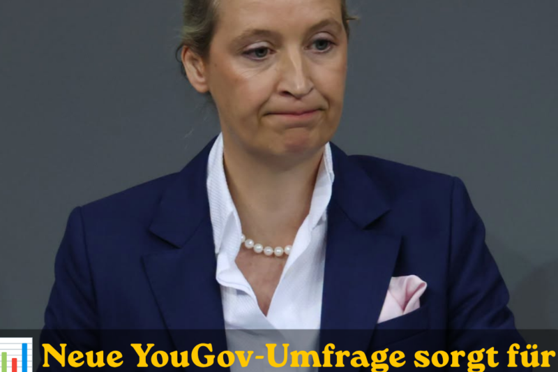 AfD verliert überraschend deutlich – knapp die Hälfte hält Reformpaket der Regierung für falsch